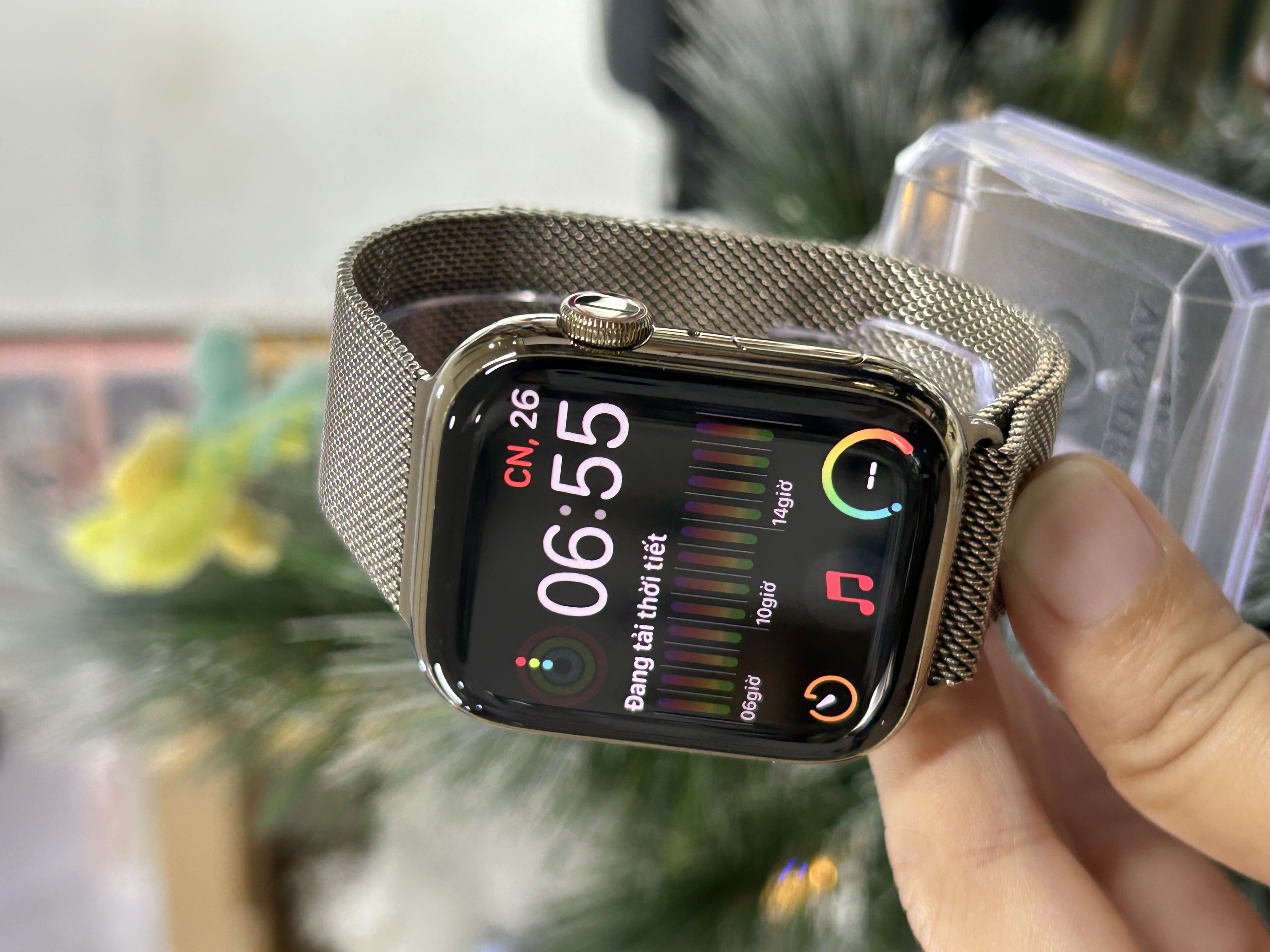 Apple Watch Series 9 45mm Thép Vàng Cũ