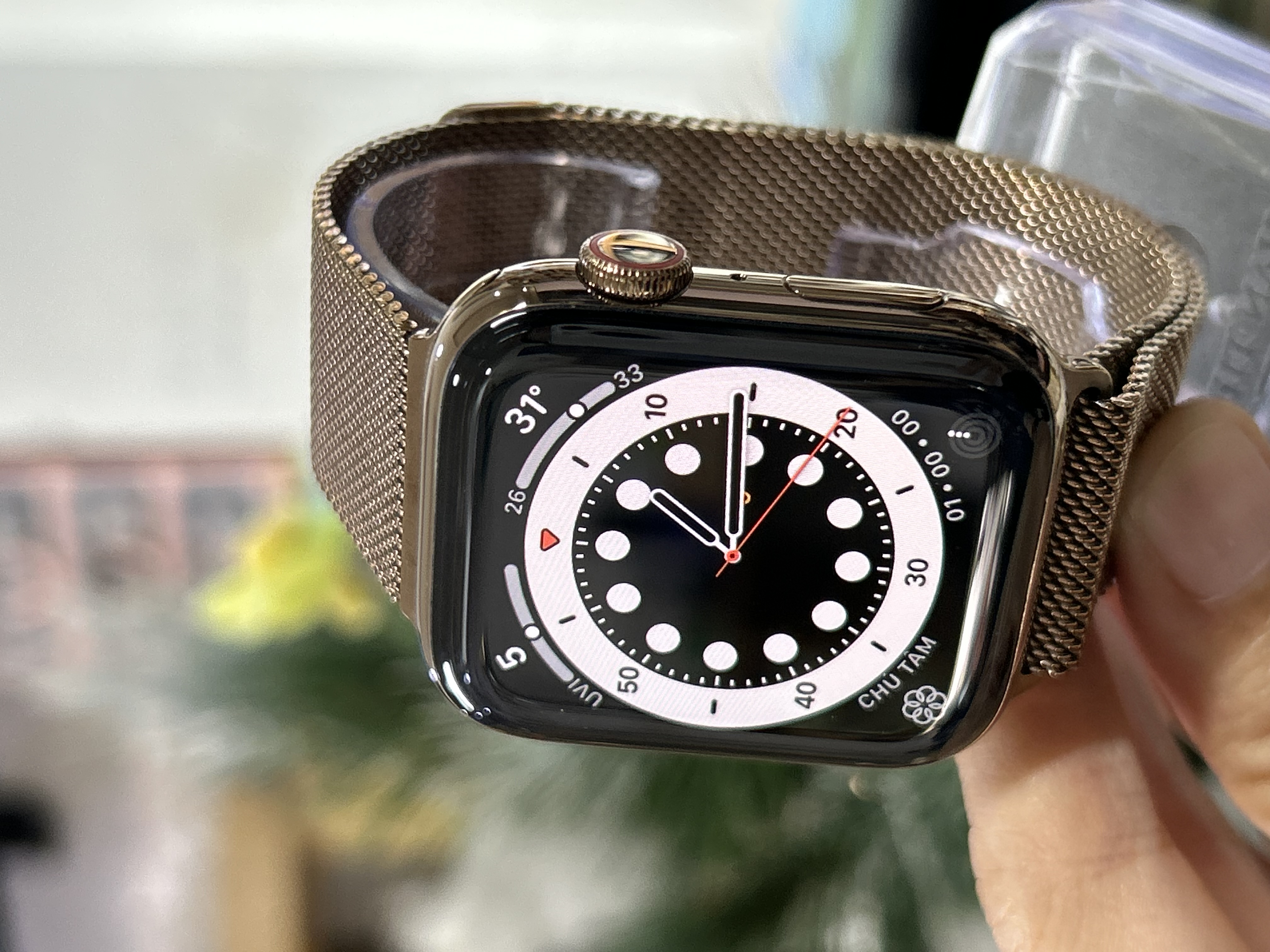 Apple Watch Series 5 44mm Thép Vàng Cũ