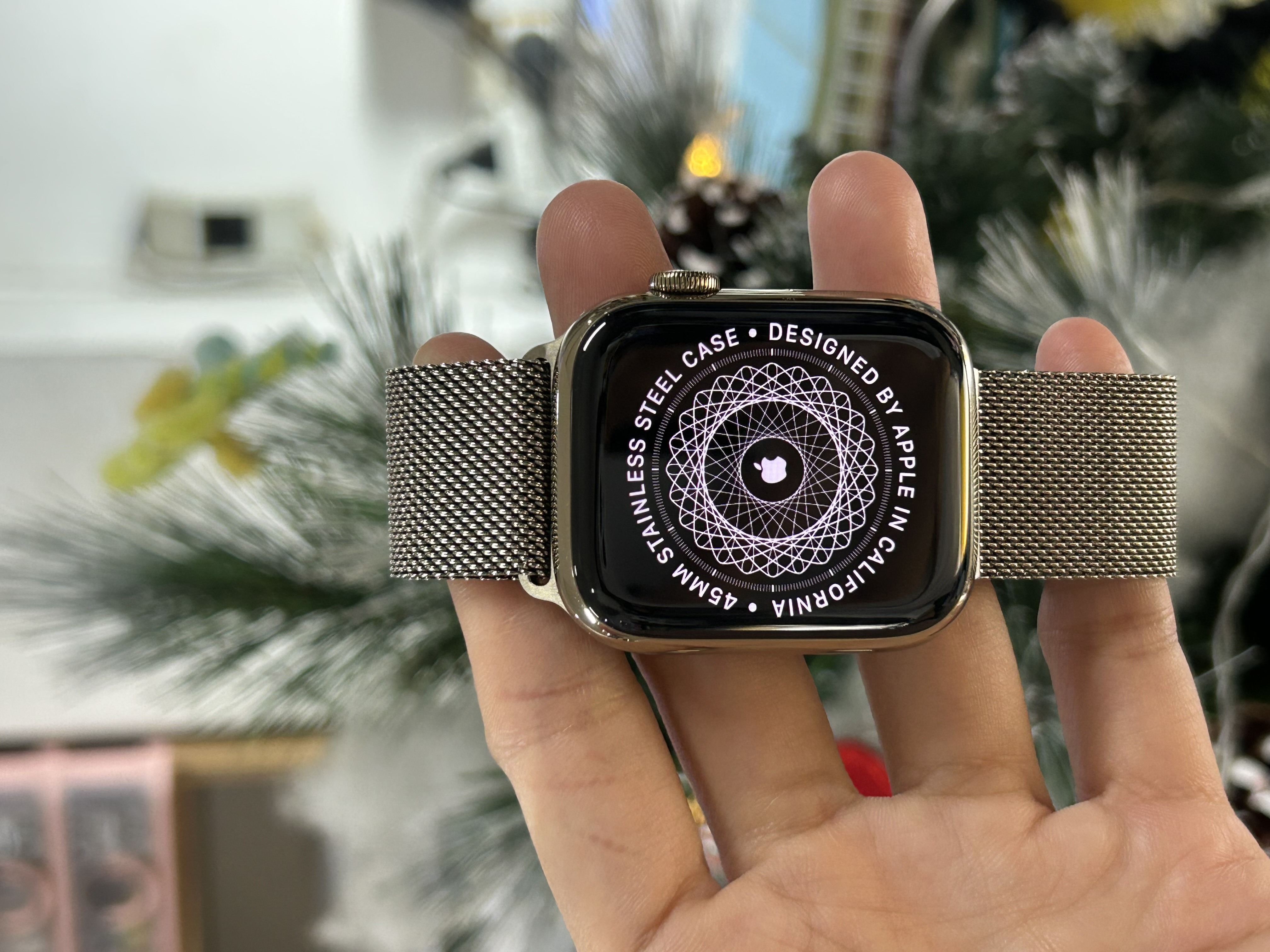 Apple Watch Series 7 45mm Thép Vàng Cũ